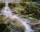 "I now know what the term means "Here today. gone tomorrow". 

It was late in the evening. with a 
