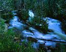 "It was very late. almost dark. when I came upon this scene I had seen numerous times before.  This 