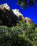 "This picture was taken in Zions National Park.  The lighting always seems to be just perfect giving