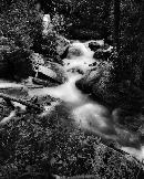 "This was a very peaceful scene taken in the evening with total quiet with the exception of the rush