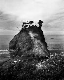 "The cool. moist. salty. sea breeze can be felt against your face as a gentle wind warns of impendin