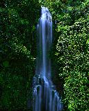 "We traveled around the Island of Maui more than once. even into areas that no car should have gone.
