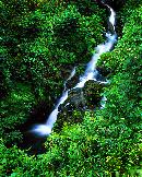 "This looks like a small creek. Actually it was quite large in scale.  I was very impressed with the