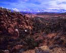 "Pillers and spires raise up with unusual order. Formed by the erosion caused by water. wind and gra