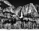 "Ansel Adams contributed so much to the Promotion and interest in black & white photography through 