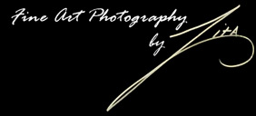 fine art photography by Zita Johnson - Award winning nature and landscape photographs in both giclee and crystal archive - Zita Johnson Fine Art Photography