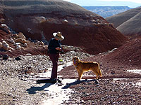 2008